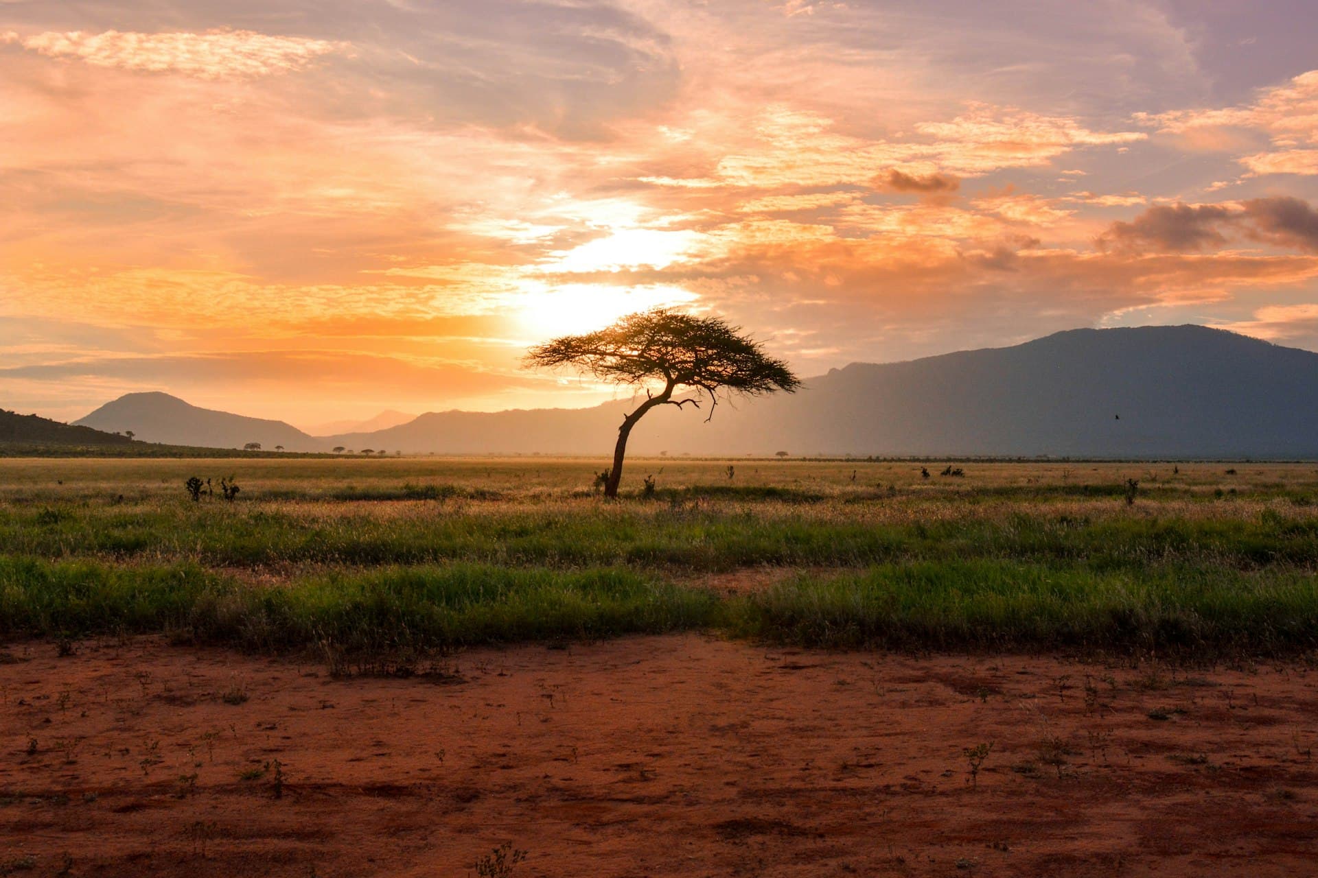 West African landscape